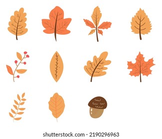 set hand-drawn illustration of an autumn leaf isolated on a white background, vector.