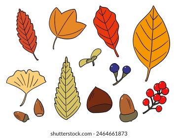 Set of hand-drawn illustrations of autumnal fallen leaves, acorns and chestnuts  with main line