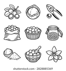 A set of hand-drawn illustrations depicting macadamia nuts in various forms, including whole nuts, cracked nuts, a nutcracker, a bag, a basket, a jar, and a flower.
