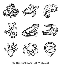 A set of hand-drawn illustrations featuring various reptiles and related elements like eggs and footprints.