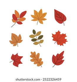 A set of hand-drawn illustrations of various types of colorful fallen leaves with an autumn concept.