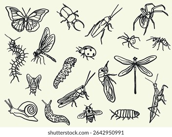 A set of hand-drawn insect illustrations in doodle or line art style. It includes various species, including butterflies, bees, beetles, and dragonflies.