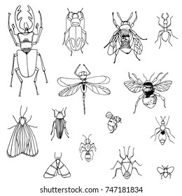 set of hand-drawn insects