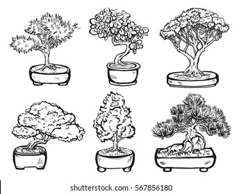 Set of handdrawn isolated decorative asian bonsai trees in the pots.