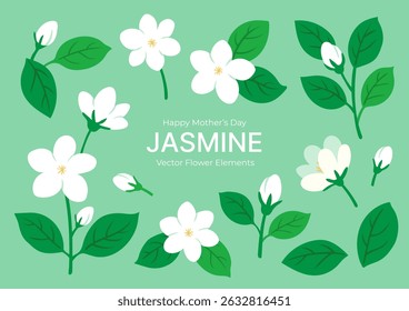 Set of Hand-Drawn Jasmine Flowers with Blooms, Buds, and Leaves in Various Angles for Thailand Mother’s Day