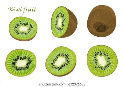 Set of hand-drawn kiwi fruit, single, peeled and sliced fruits. realistic drawing, isolated on white background. Vector illustration