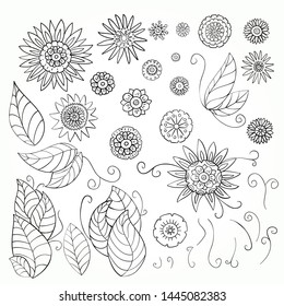 Set of hand-drawn leaves and flowers. Dooodle flower, leaves, swirls elements.