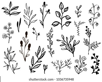 Set of hand-drawn leaves, flowers, and herbs. Black and white floral elements. Natural illustration with simple plants for wallpaper, scrapbooking, wrapping paper