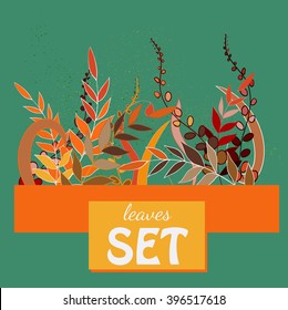 Set of hand-drawn leaves and herbals
