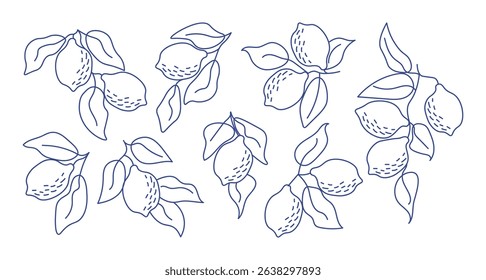 Set of hand-drawn lemon branches in minimal line art style. Perfect for modern aesthetics, botanical designs, kitchen decor, packaging, fabric patterns, summer-themed projects. Vector illustration