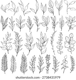 Set of hand-drawn line art botanical elements: various leaves, eucalyptus branches, fern fronds, greenery sprigs. 