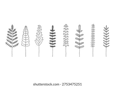A set of hand-drawn line drawings of plants such as ferns and cycads