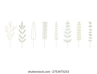 A set of hand-drawn line drawings of plants such as ferns and cycads