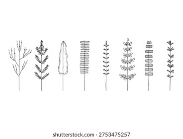 A set of hand-drawn line drawings of plants such as ferns and cycads