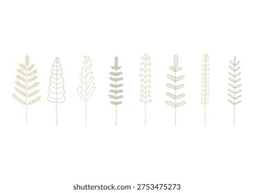 A set of hand-drawn line drawings of plants such as ferns and cycads