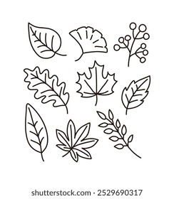 A set of hand-drawn line illustrations of various types of colorful fallen leaves with an autumn concept.