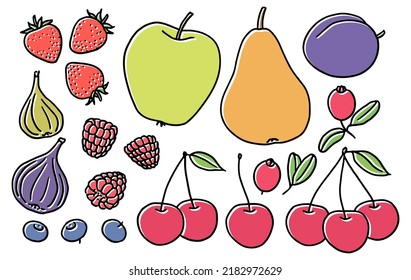 Set of hand-drawn local fruits and berries