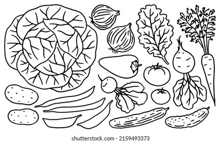 Set of hand-drawn local produce