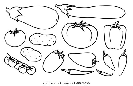 Set of hand-drawn nightshade produce