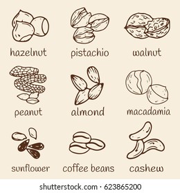 Set of hand-drawn nuts isolated.  Organic farm illustration. Healthy lifestyle vector design elements. Nut icons.
