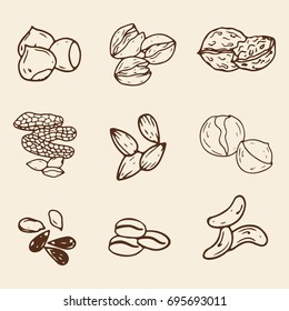 Set of hand-drawn nuts isolated.  Organic farm illustration. Healthy lifestyle vector design elements. Nut icons.