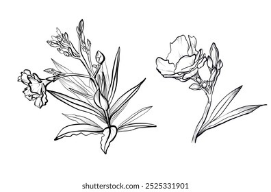 Un conjunto de flores de adelfa dibujadas a mano Ilustración vectorial