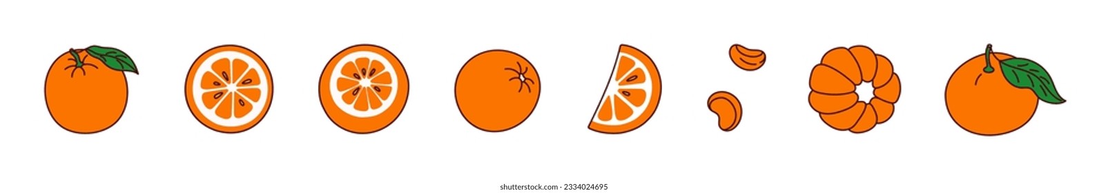 Set of hand-drawn orange or mandarin on a transparent background. Isolated vector illustration of juicy fruits