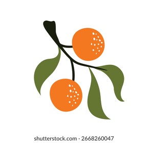 Set handgezeichnete Orangen: Vektorgrafik von Zitrusfrüchten mit Blättern und Blumen. Ideal für Muster, Karten und Stoffe