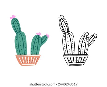 A set of hand-drawn outline and colored vector cacti isolated on white background. Doodle and flat style illustrations of spiny plants, blooming cactus, succulent plants in ceramic pots. Home plants.