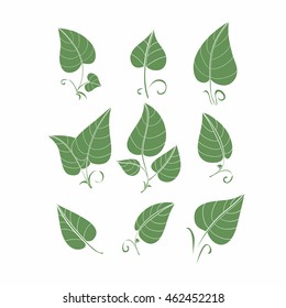 Set of hand-drawn and painted decorative leaves.
Summer and spring colors.