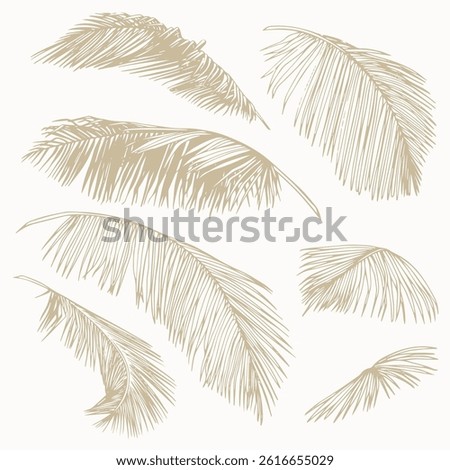Set of hand-drawn palm leaves in line art. Minimalist tropical botanical vector perfect for prints, branding, packaging, and modern design projects.