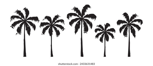 Set of hand-drawn palm tree, tropical, summer elements, vector flat illustration isolated on white background.