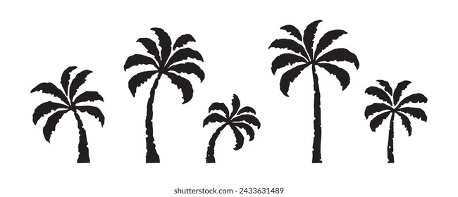 Set of hand-drawn palm tree, tropical, summer elements, vector flat illustration isolated on white background.