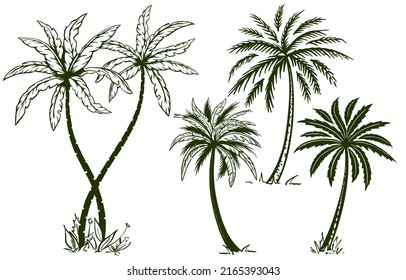 Set with hand-drawn palm trees in sketch style. Illustration for advertising summer travel. Isolated on white background. Vector.