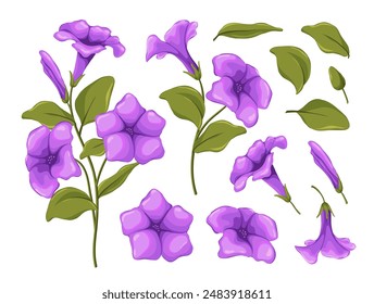 Set of hand-drawn petunia flowers. Isolated vector image