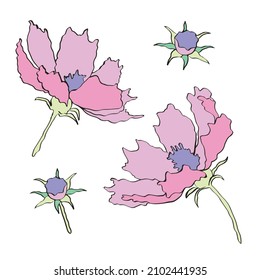 Flores rosas dibujadas a mano. Ilustración vectorial aislada en fondo blanco. Elementos para la decoración de postales, pegatinas, bodas.