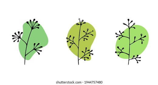 Set of hand-drawn plants with abstract spots.Doodle style, sketch,simple botanical line,drawing with floral elements,minimalism.Isolated.Vector illustration