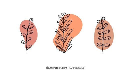 Set of hand-drawn plants with abstract spots.Doodle style, sketch,simple botanical line,drawing with floral elements,minimalism.Isolated.Vector illustration