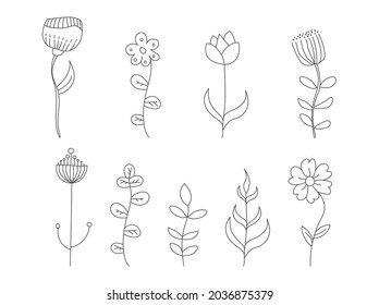 conjunto de plantas extraídas a mano. Plantas para diseño gráfico y creativo, decoración, impresiones. Ilustración de acciones