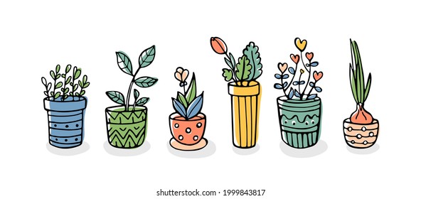 Set of hand-drawn plants in pots isolated on white background. Cute doodle vector illustration. 