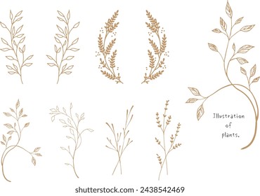 A set of hand-drawn plants and trees. Light brown.