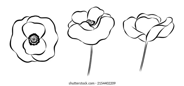 Set of hand-drawn poppy flowers