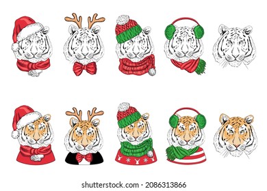 A set of hand-drawn portraits of a tiger in knitted Christmas hats, scarves, sweaters, bow tie, deer antlers and in a suit. Vintage vector illustration. New Year and Christmas illustration.