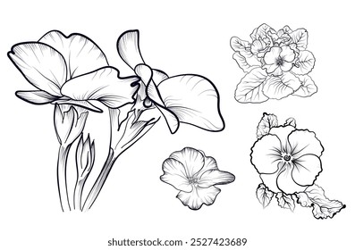 um conjunto de flores desenhadas à mão ilustração vetor