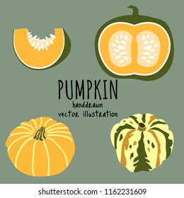 A set of  handdrawn pumpkins. Vector illustration. Concept for gardening, autumn harvest.  Flat style design.