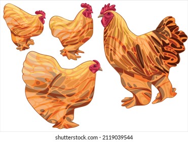 Set of hand-drawn rooster and a chicken The breed of buff cochin