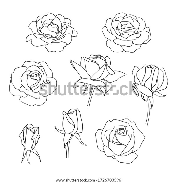 Set Handdrawn Roses Vector Stock Vector (Royalty Free) 1726703596 ...