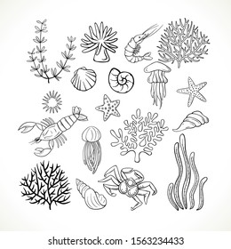 Set of hand-drawn Sea life. Doodle marine life.