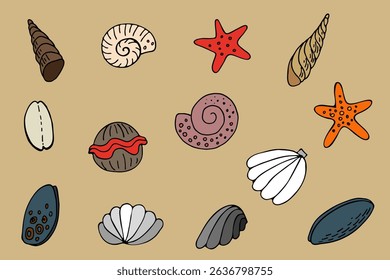 Conjunto de conchas do mar desenhadas à mão e estrelas-do-mar no estilo moderno doodle. Inclui conchas, espirais, caracóis e vários moluscos marinhos. Ideal para projetos com temática oceânica.
