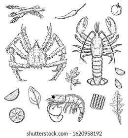 Set of hand-drawn seafood. Crustacea. Vector cartoon illustrations. Isolated objects on a white background.